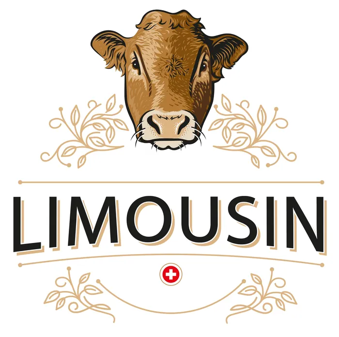 Limousin cow head illustration with floral decorations by Albert Morell
