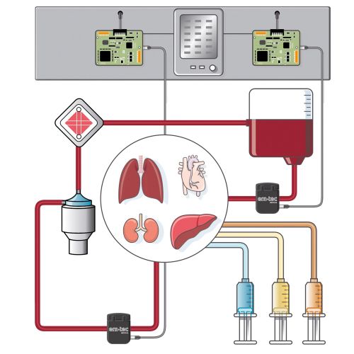 Albert Morell Graphic icon illustrator. Germany