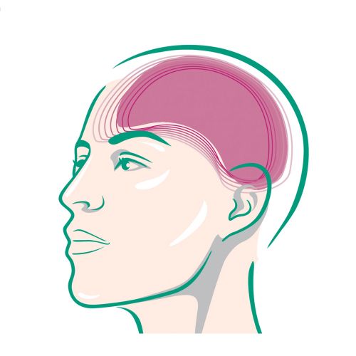 Side view of a human head with the brain highlighted in pink