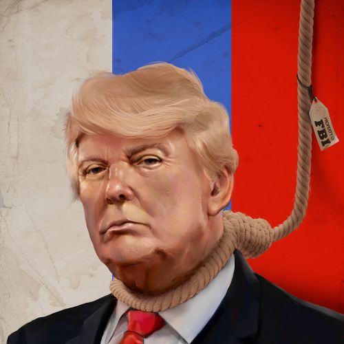 Donald Trump Portrait