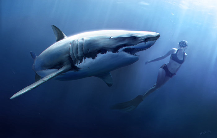 An illustration of woman diving with white shark
