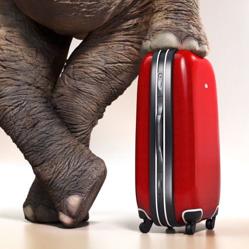 3D model suitcase with elephant
