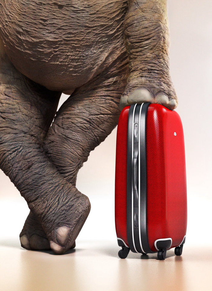 3D model suitcase with elephant