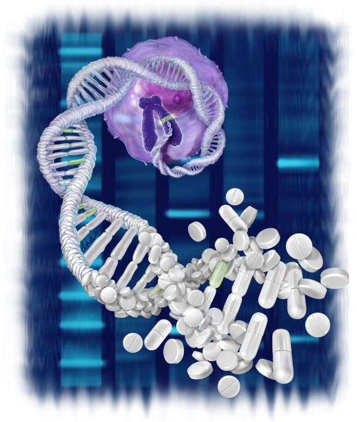 DNA の多様性は、さまざまな薬物反応を独自に形成します。