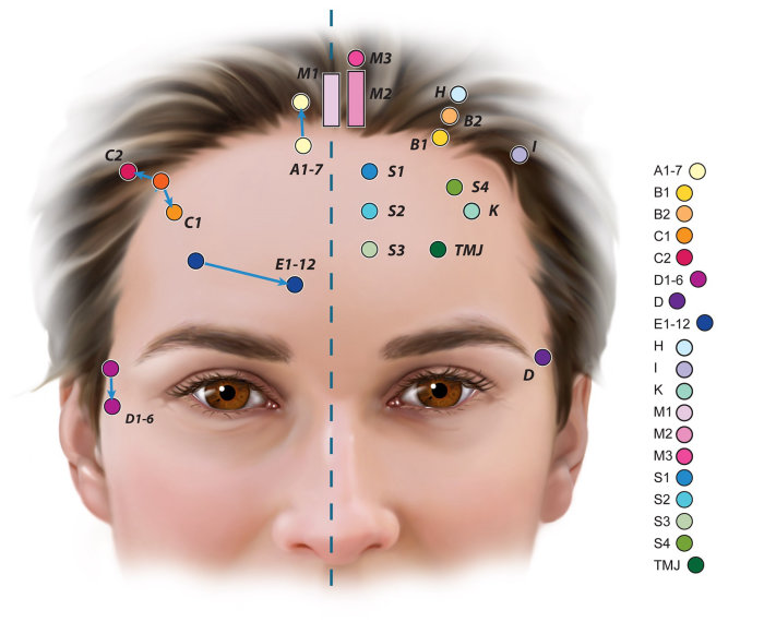 Lifestyle illustration of acupuncture points