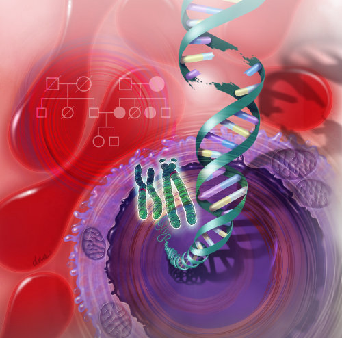 Medical illustration of Genetic Testing 