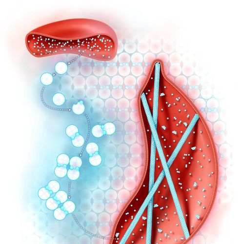 Editorial cover image showing Sickle-cell disease