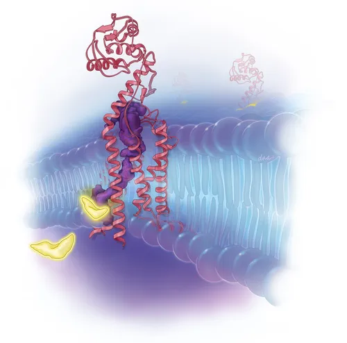Medical illustration about chemotherapy resistant AML treatment