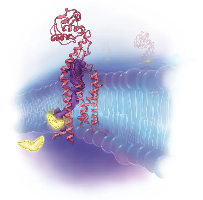 Medical illustration about chemotherapy resistant AML treatment