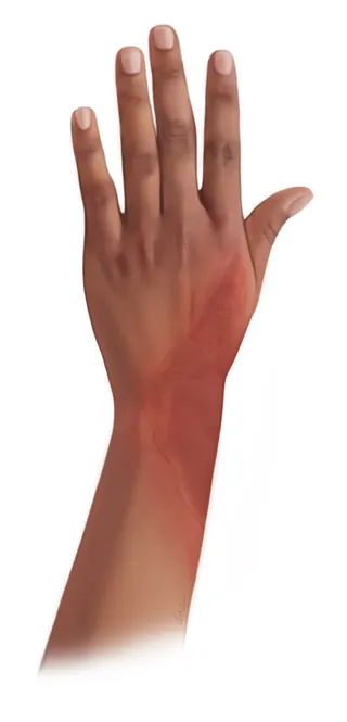 Illustration of a human left hand with natural skin tones by Alex Webber