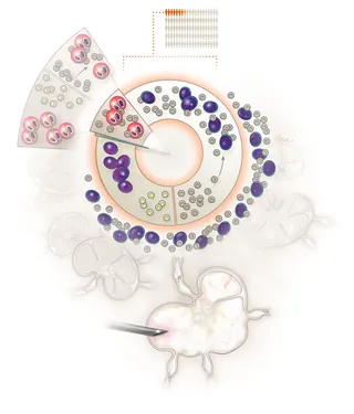 Cellular diagram and circular data visualization by Alex Webber