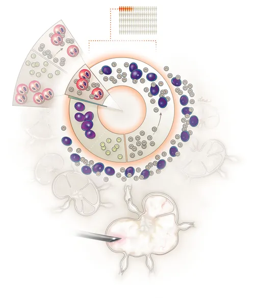 Cellular diagram and circular data visualization by Alex Webber