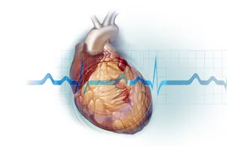 Left ventricular dysfunction illustration by Alex Webber