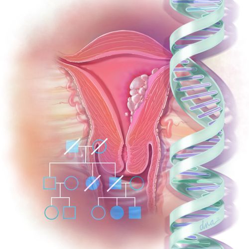 Female reproductive system with DNA strand and inheritance chart by Alex Webber