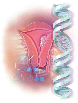 Female reproductive system with DNA strand and inheritance chart by Alex Webber