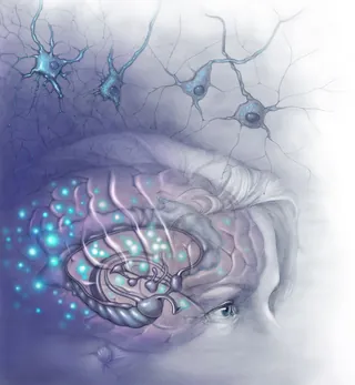 Surreal brain and neuron illustration by Alex Webber