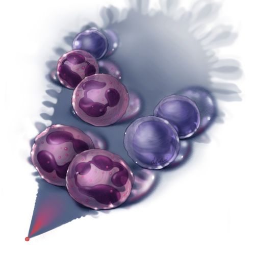 Translucent purple and pink spheres casting shadows by Alex Webber