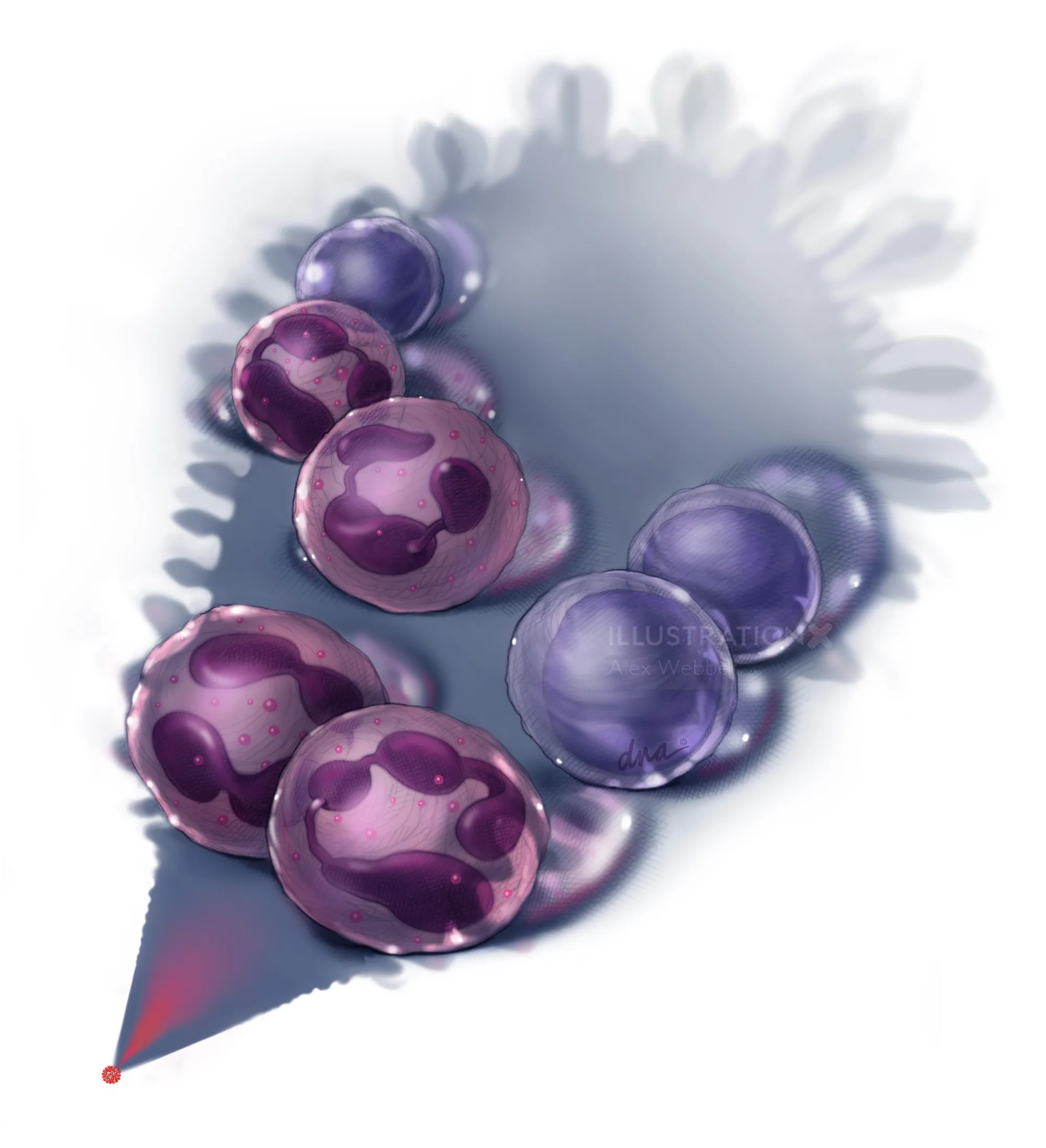 Translucent purple and pink spheres casting shadows by Alex Webber