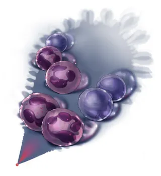 Translucent purple and pink spheres casting shadows by Alex Webber