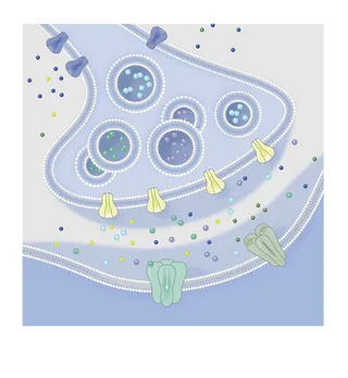 Cell membrane with receptors and vesicles illustration by Alex Webber
