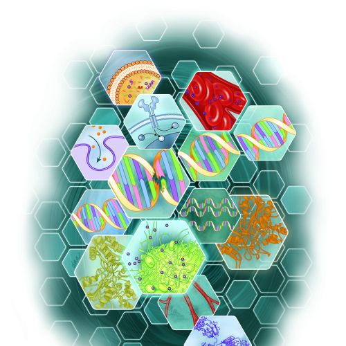 Hexagonal cells with DNA strands and molecular structures by Alex Webber