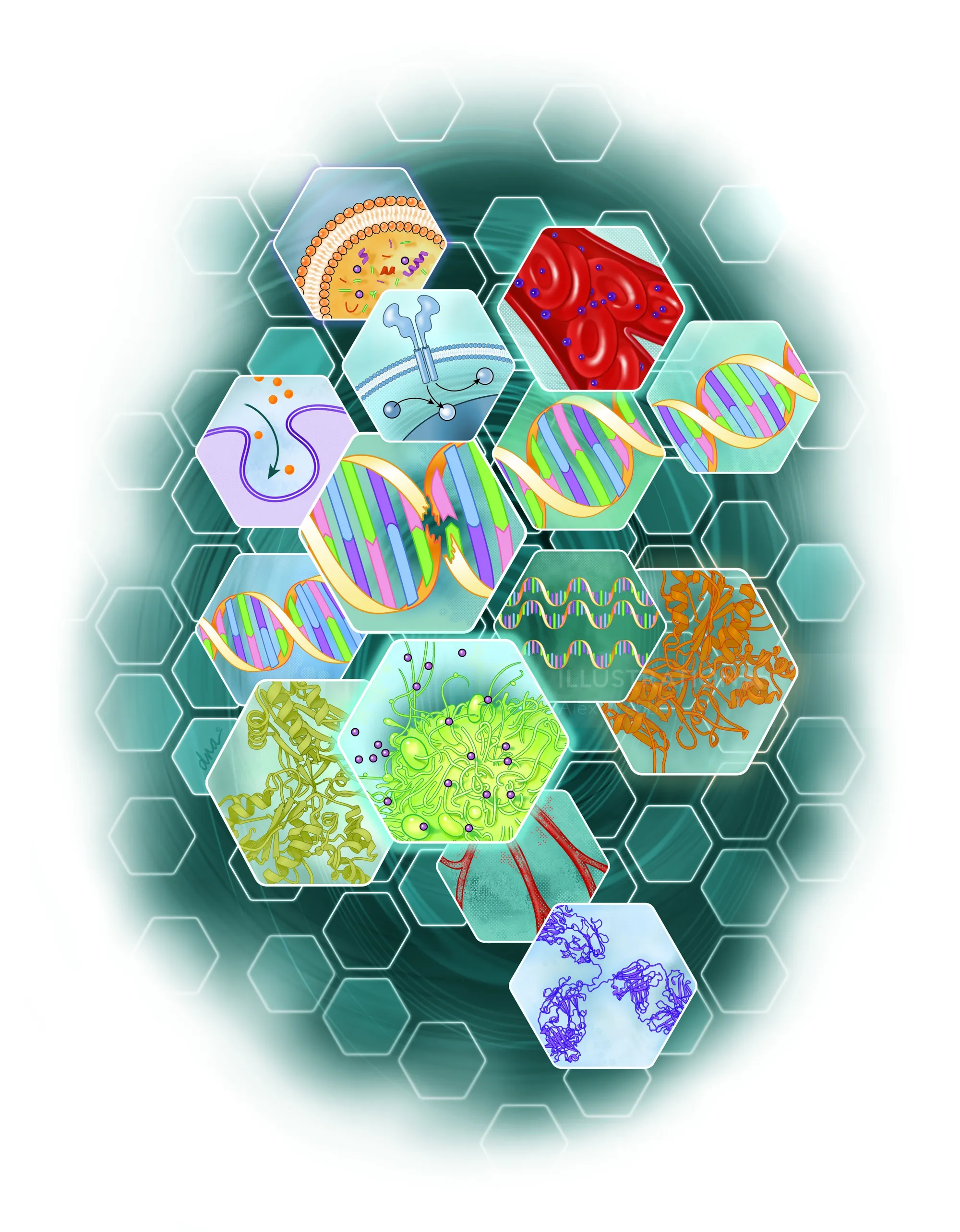 Hexagonal cells with DNA strands and molecular structures by Alex Webber