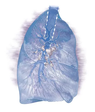 Anatomical blue-toned human lung illustration by Alex Webber