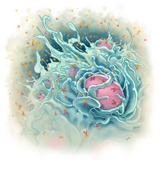 Abstract cellular structure with flowing blue and pink shapes by Alex Webber