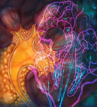 Abstract cellular shapes with neon lines by Alex Webber