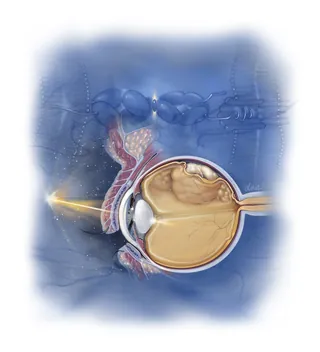 Detailed human eye cross section anatomy by Alex Webber