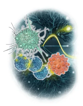 Illustration of immune cells with complex structures by Alex Webber
