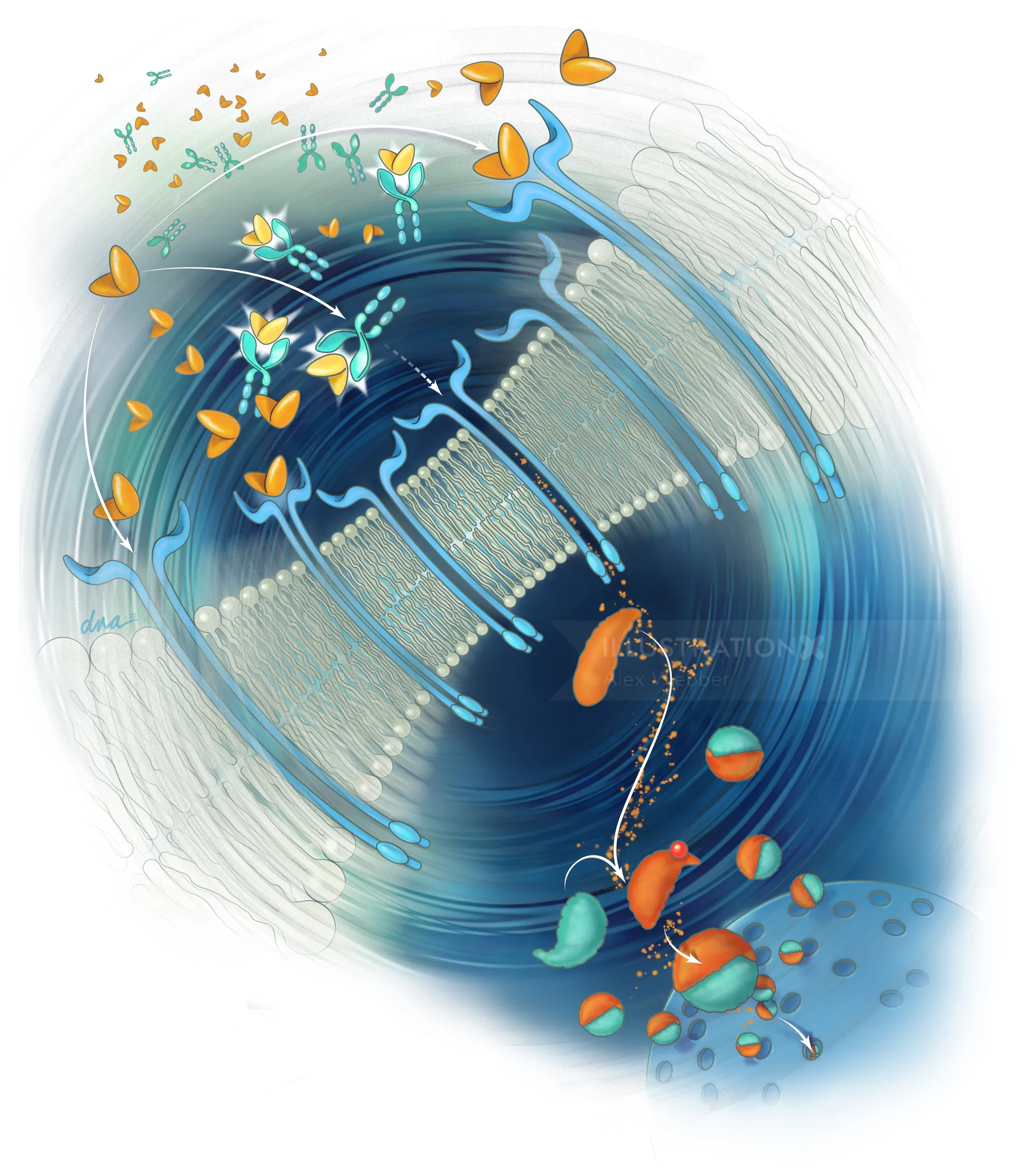 Abstract molecular structure with orange butterflies by Alex Webber