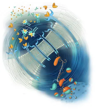 Abstract molecular structure with orange butterflies by Alex Webber