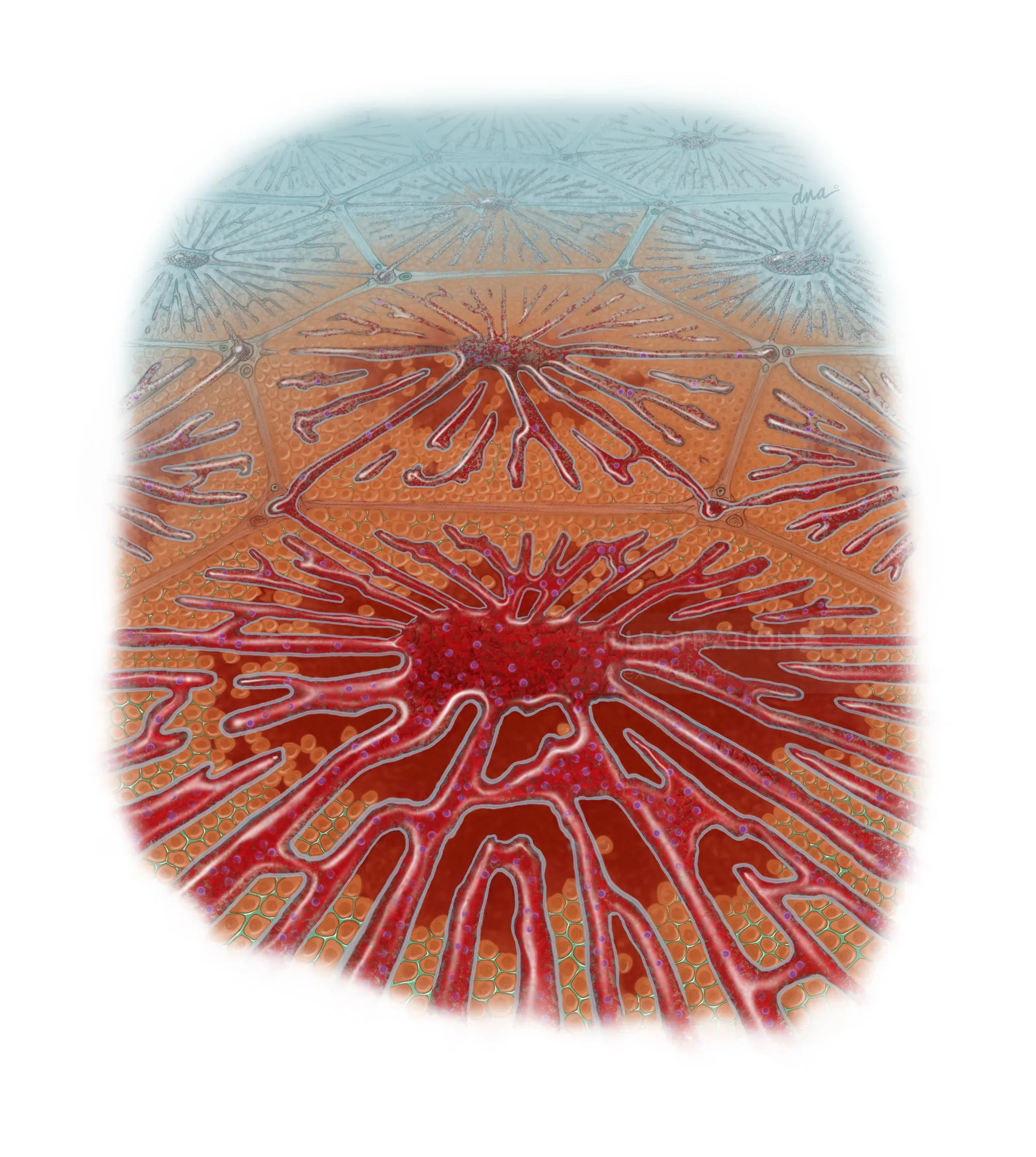 Close-up of red and orange abstract organic patterns by Alex Webber