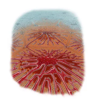 Close-up of red and orange abstract organic patterns by Alex Webber