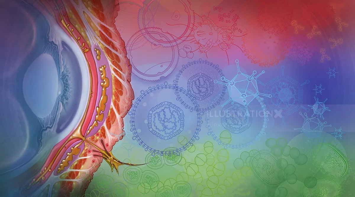 Scientific illustration showing viral infection at cellular level
