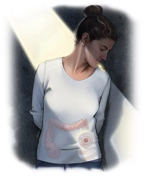 Female anatomy showing digestive system focus on colon and rectum