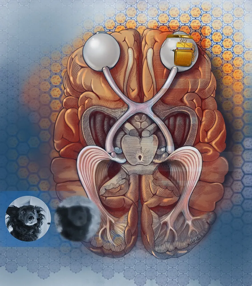 Surreal brain illustration with mechanical and organic elements by Alex Webber