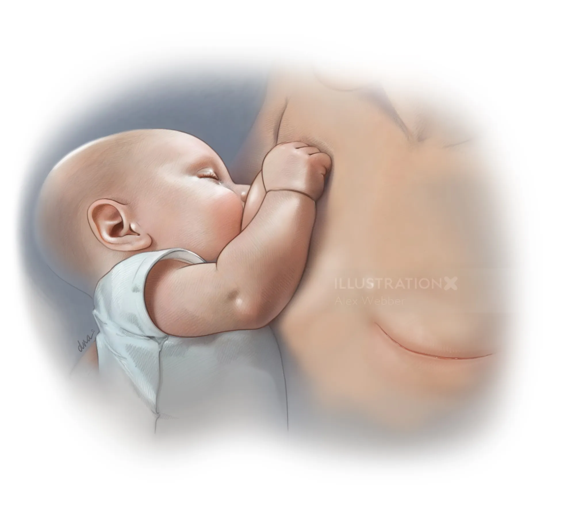 Infant breastfeeding, detailed illustration by Alex Webber