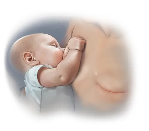 Infant breastfeeding, detailed illustration by Alex Webber
