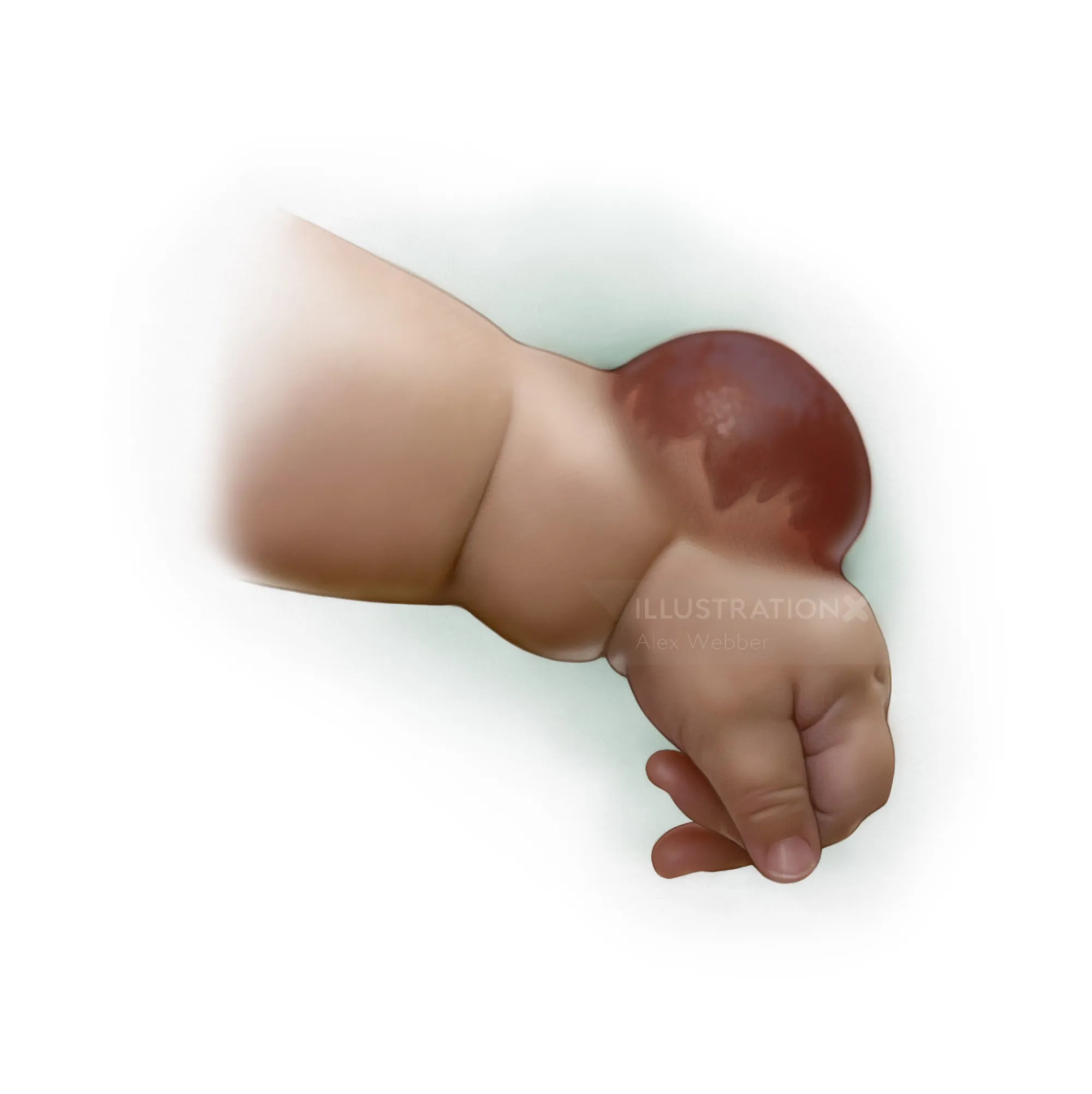 Close-up of a newborn baby's hand and arm by Alex Webber