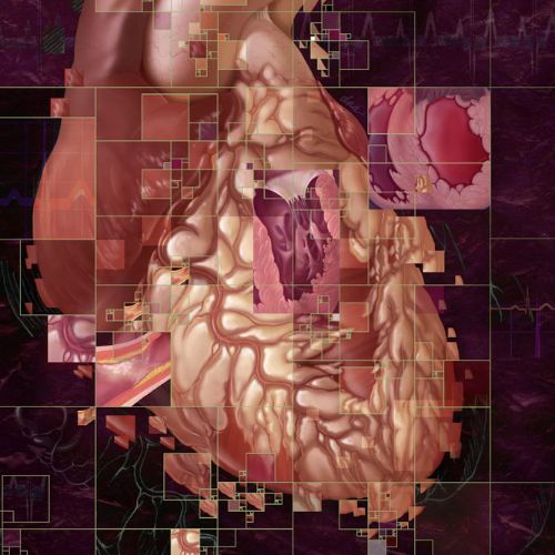 Ejection fraction concept artwork for Medical Magazine