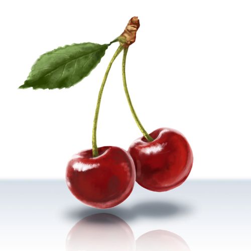 Infographic art of cherry's 