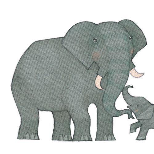 Illustration of mother elephant and baby elephant touching trunks