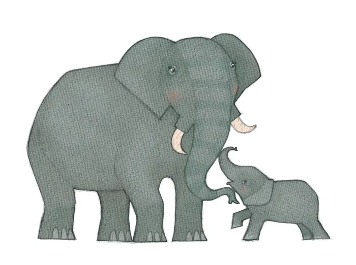 Illustration of mother elephant and baby elephant touching trunks