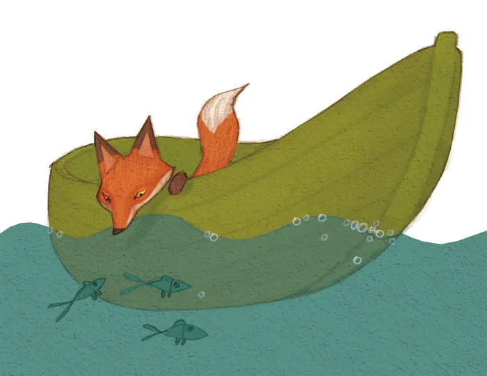 Fox peeking over edge of green boat at fish underwater