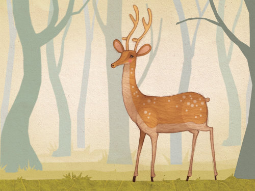 鹿在树林里，森林的插图