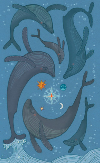 Ilustración de ballena