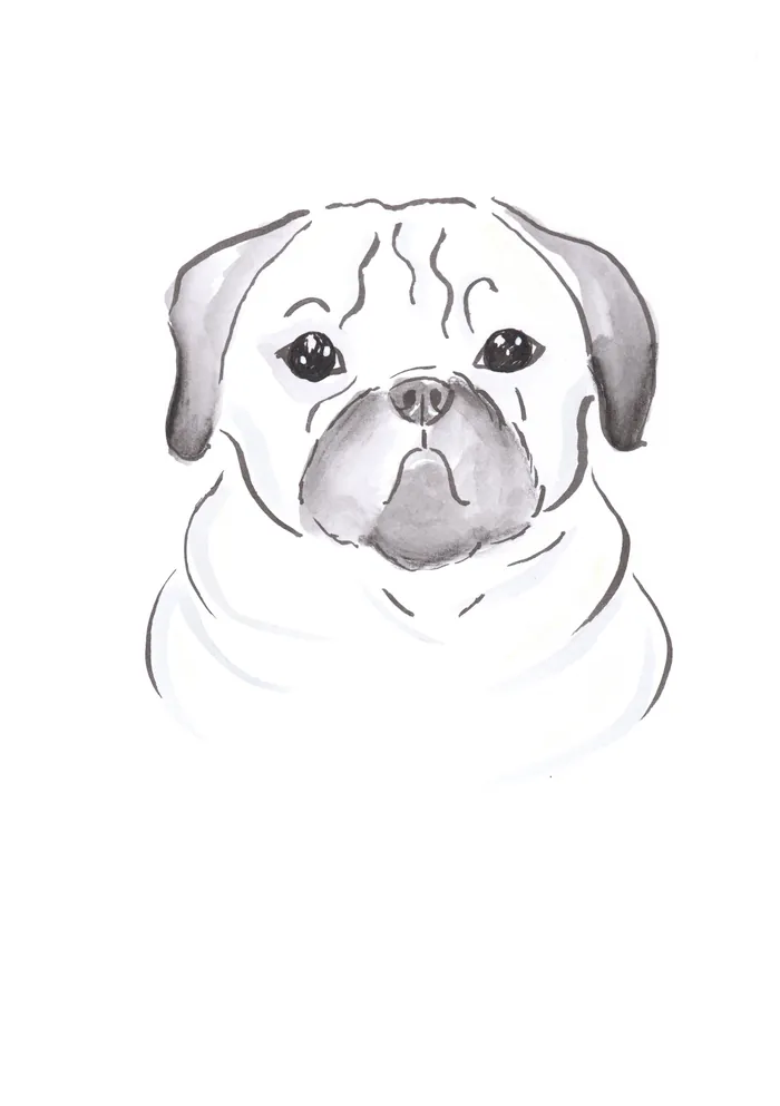 Watercolor illustration of a pug dog with expressive eyes