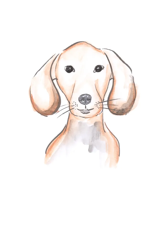 Watercolor illustration of a dachshund dog with floppy ears